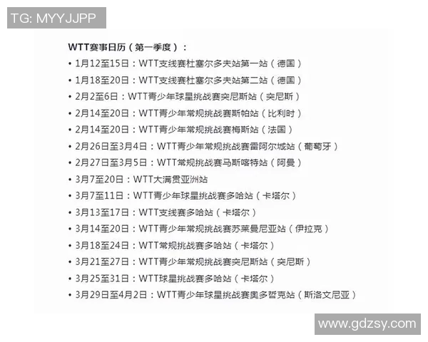 广州乒乓球队个人能力全面解析与大满贯赛事表现评估