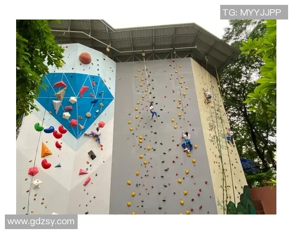 杭州攀岩队实力分析与表现评估探讨及未来发展方向研究